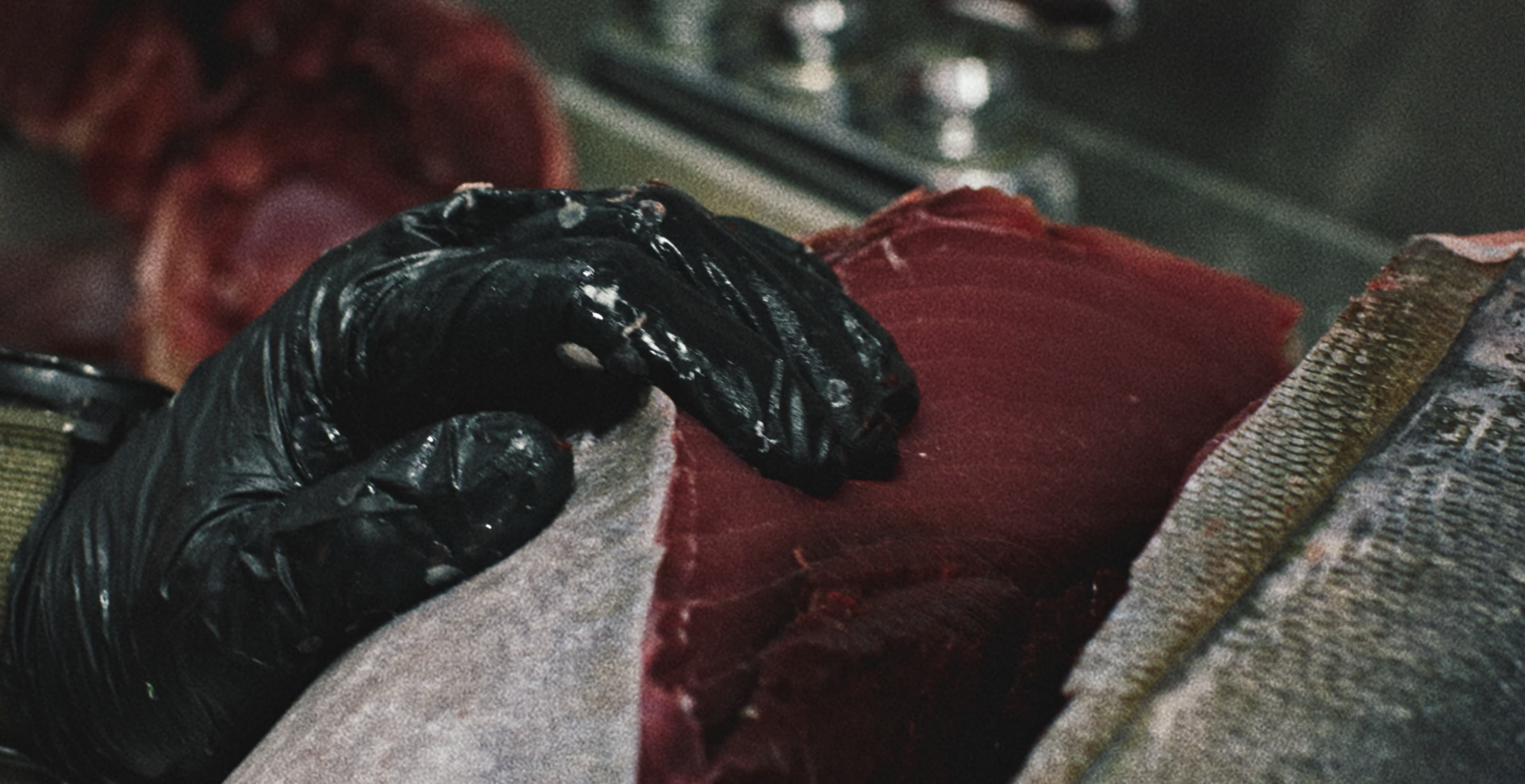 Perla — Spec Ad — frame 2