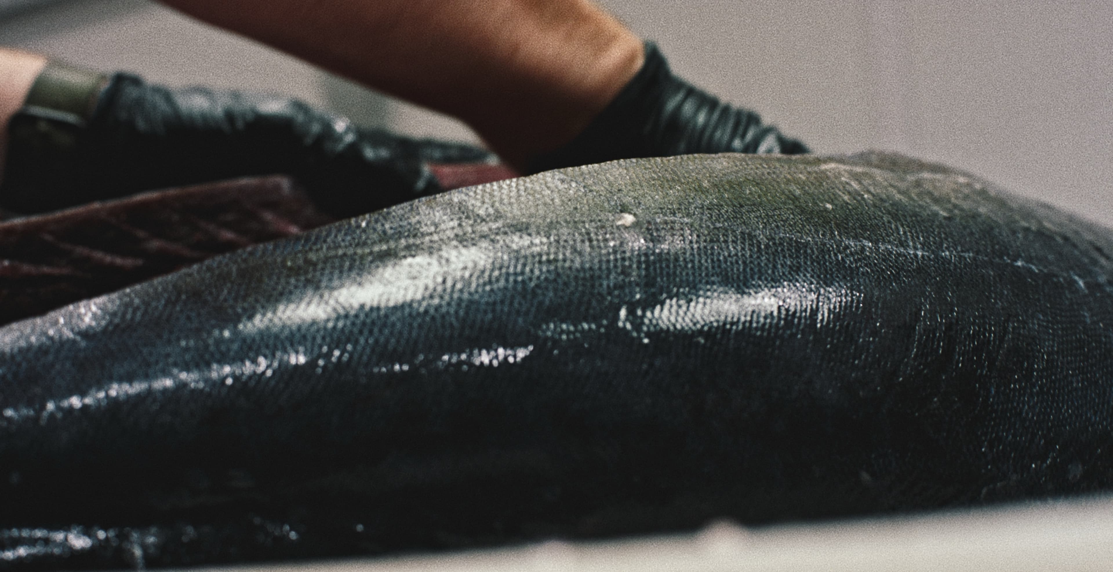 Perla — Spec Ad — frame 3