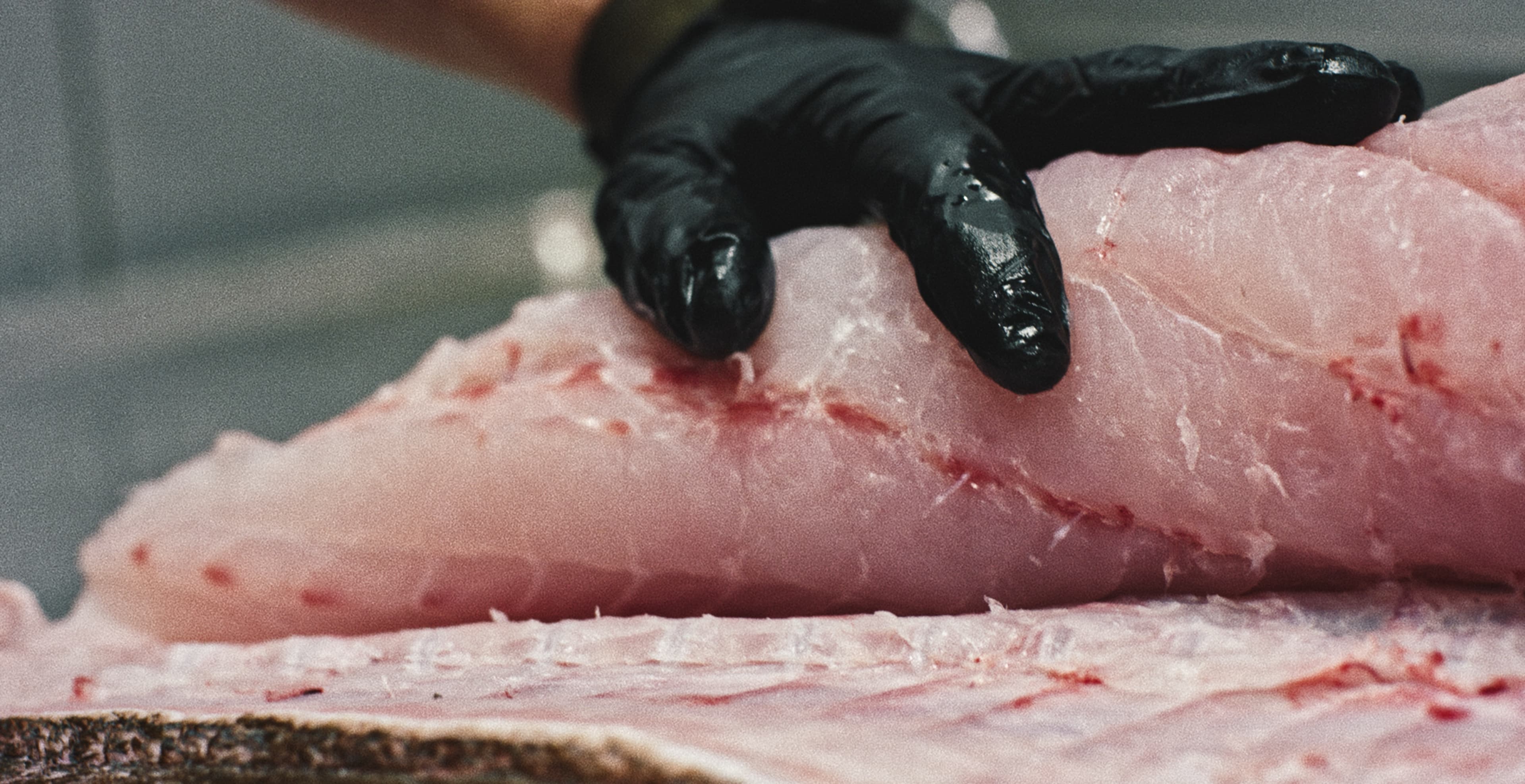 Perla — Spec Ad — frame 6