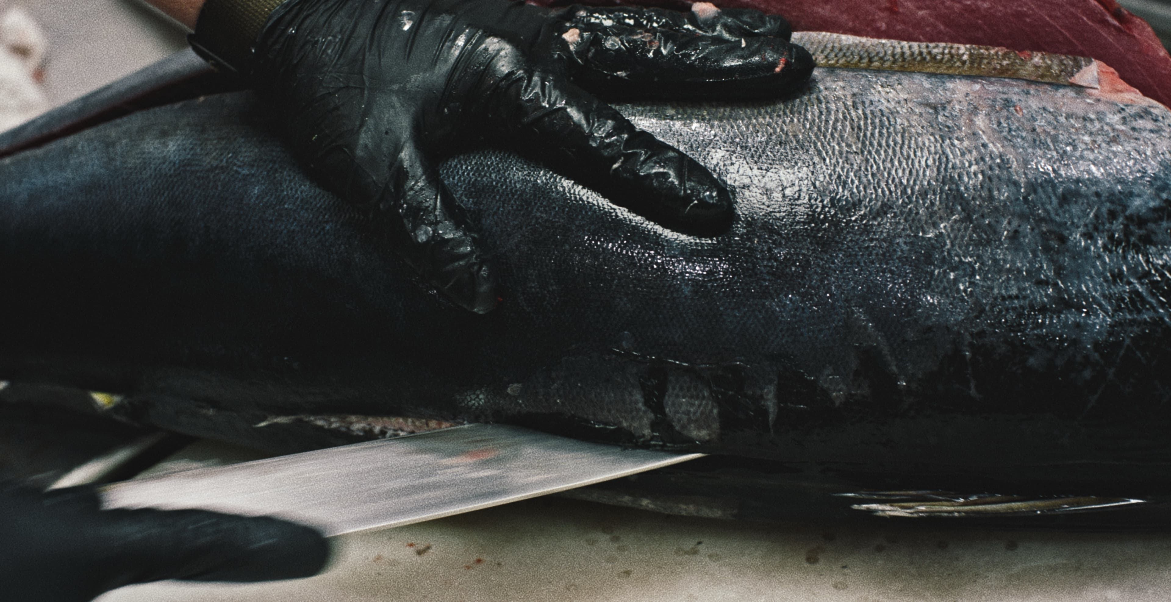 Perla — Spec Ad — frame 11